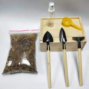 蚯蚓寵物組-小型飼養盒及工具(有附蚯蚓 25 隻)